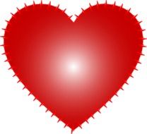isolated red heart