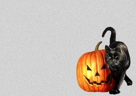 black cat and pumpkin as halloween symbols
