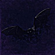 bat in the gloom