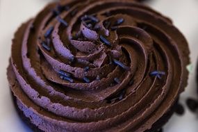 Chocolate Icing Cupcake Frosting