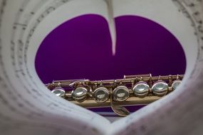 flute in the heart of music