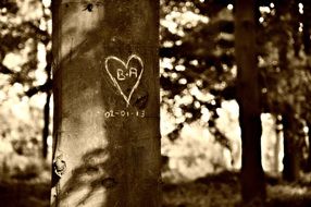 Valentine Heart Carving