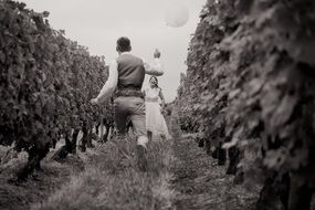 couple in love among in the vineyard in black and white image