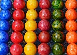 colorful eggs in cells