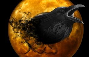 creepy raven drawing