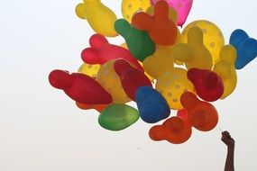 Colorful Balloons