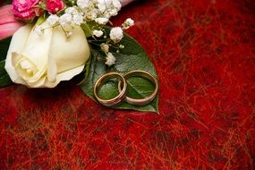 wedding rings lie near the flowers