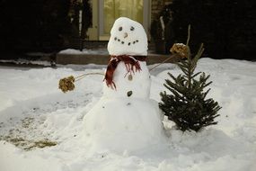 snowman near a small coniferous tree