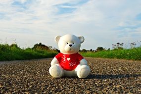 white ceramic Teddy bear toy