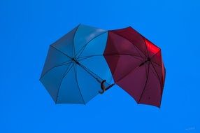 Screen Umbrella drawing