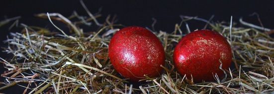 red shiny easter eggs