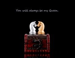 horses in chess as a symbol of love