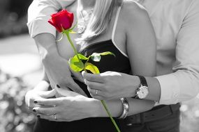 romantic couple in love with a red rose