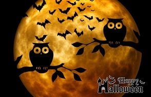 owls on the moon background