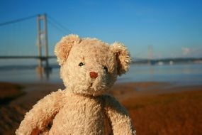 teddy bear on the background of the suspension bridge