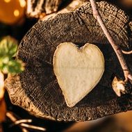 wooden heart on the stump