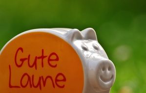 funny ceramic pig