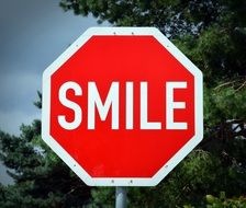 Shield Smile road sign