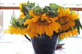 Flowers in the pot in Yellow Summer