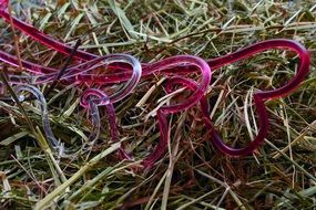 heart-shaped decorations on straw