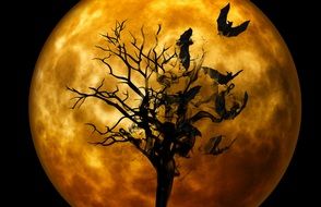 creepy tree with flying bats on the moon background