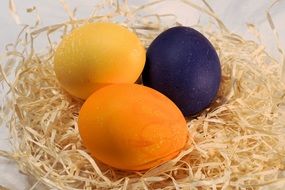 yellow and purple Easter eggs