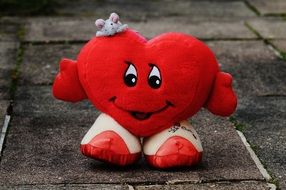 Love Heart Funny pillow