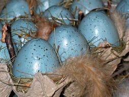 decorated blue Easter eggs