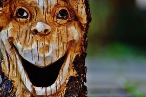 funny Log Face forest spirit
