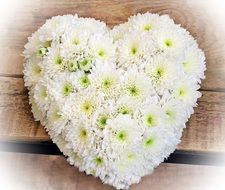 Love Heart flowers