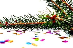 colorful snowflakes and spruce branch