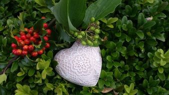 Heart Love Autumn