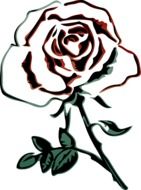 rose silhouette on a white background