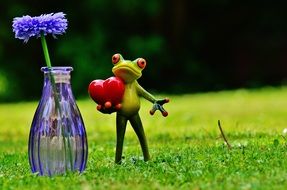 frog with a red heart near a vase with a flower