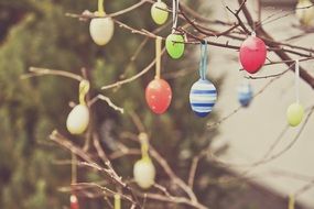 Easter Eggs on a tree branch