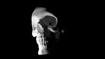 Skull Black Horror Face drawing