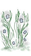 Ghost Grass drawing