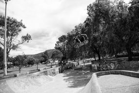 picture of the Skate Park