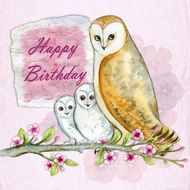 vintage birthday card with owls