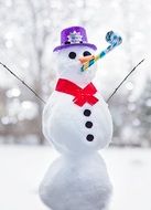 Happy snowman in winter