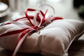 Wedding Rings on pink pillow, Happy Marriage