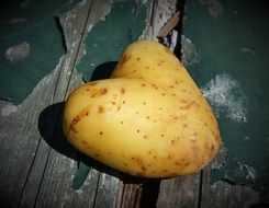Heart Potato Love