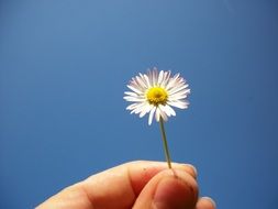 Hand Flower