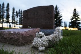 Cemetery Bear