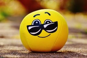 soft playful smiley with glasses