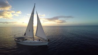 white Sailboat in sea at Sunset