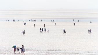 Summer Coast Beach