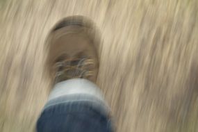 personâs Foot in Shoe in movement