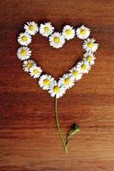 decoration in the form of daisies heart