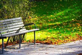 beautiful Wood Bench